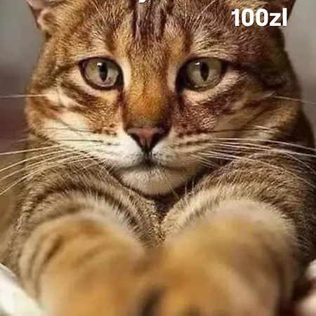 5centrum Stanislawa Moniuszki10 Wi-fi 1gb Sekparking Varsovie